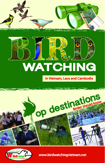birding info for vietnam, laos and cambodia
